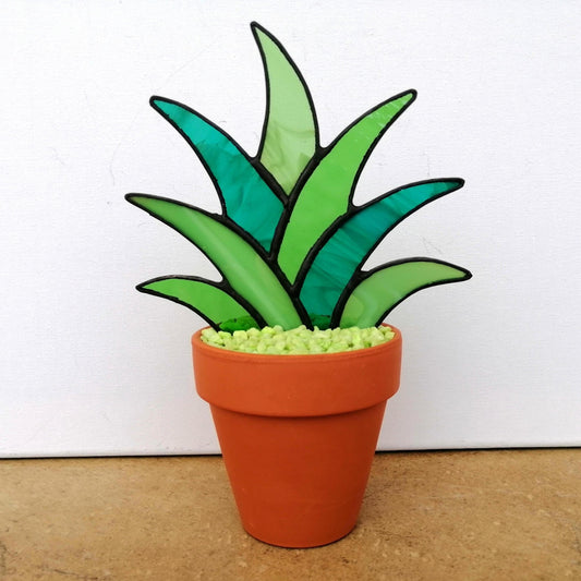 Agave Stained Glass Succulent Stake PLANT ONLY
