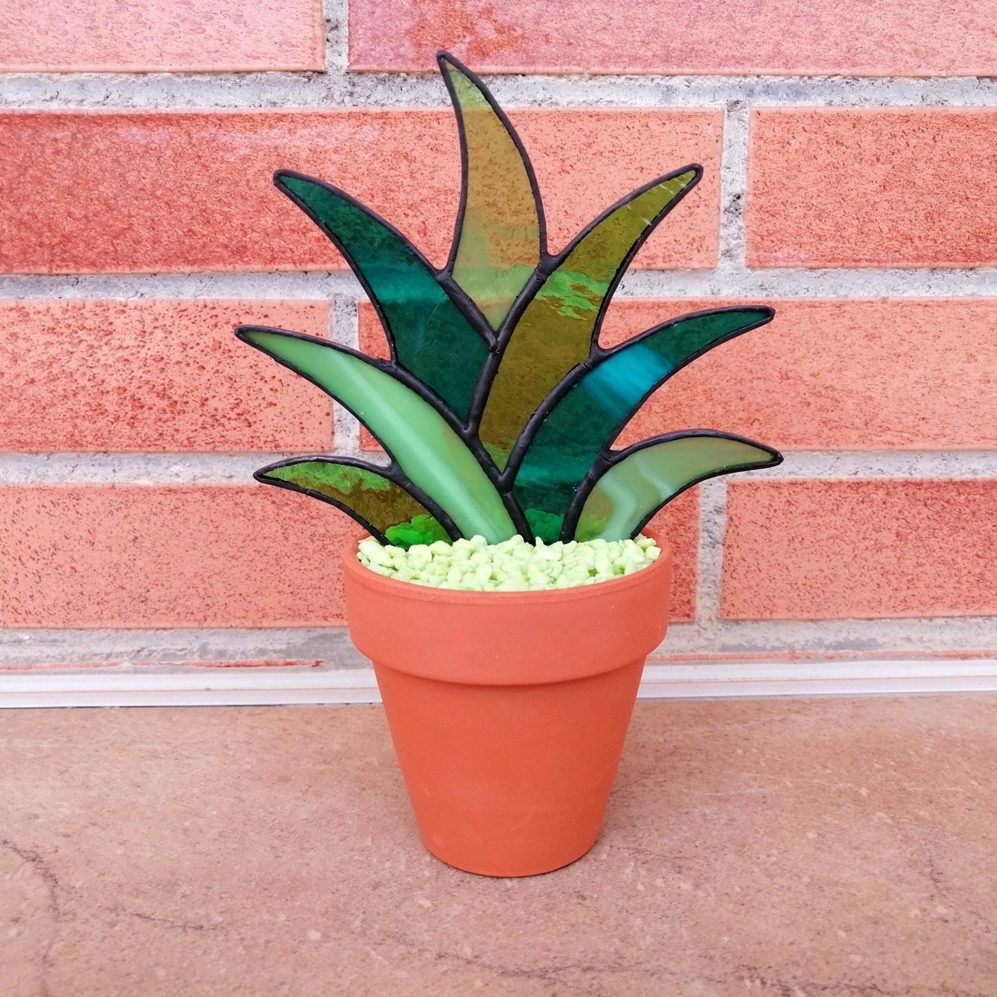 Agave Stained Glass Succulent Stake PLANT ONLY