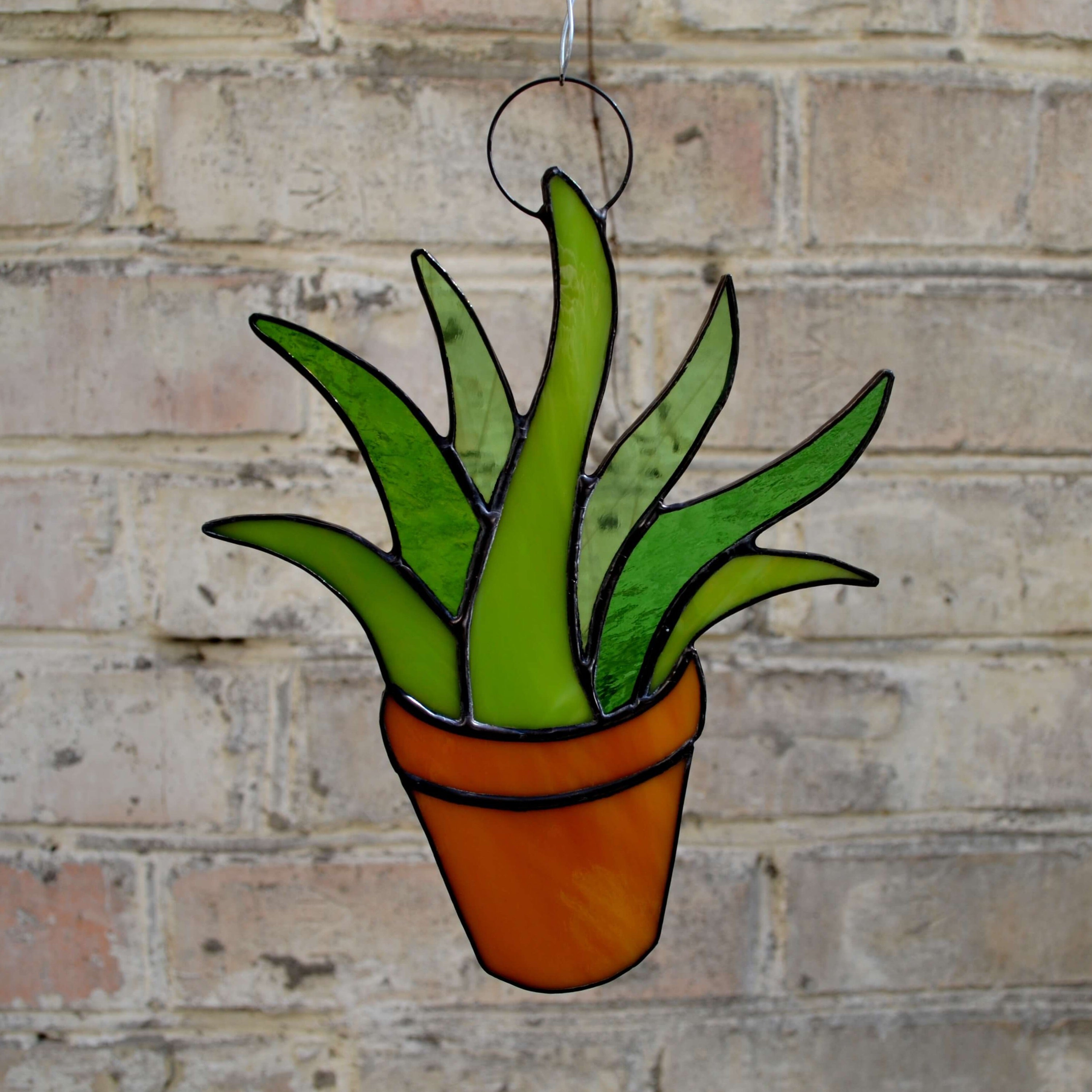 Top Stained Glass Aloe Head